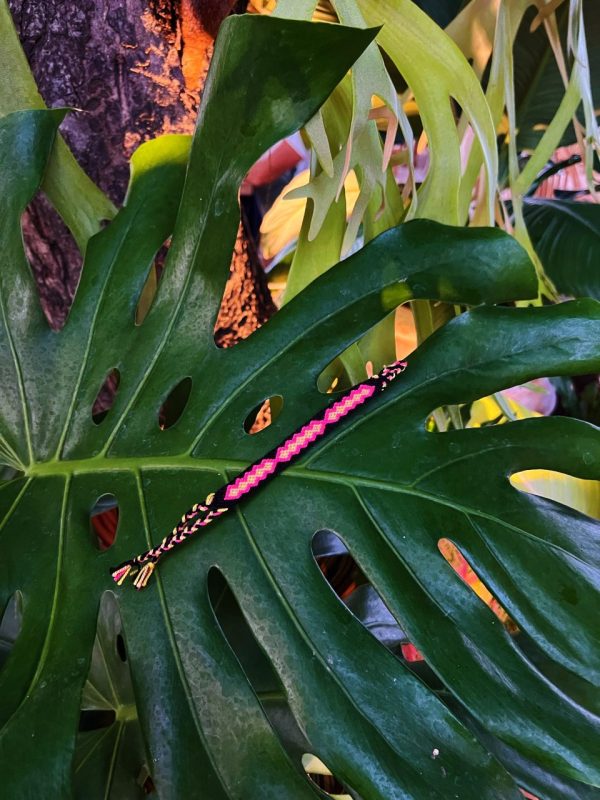 Bracelet coloré sur la feuille d'une plante